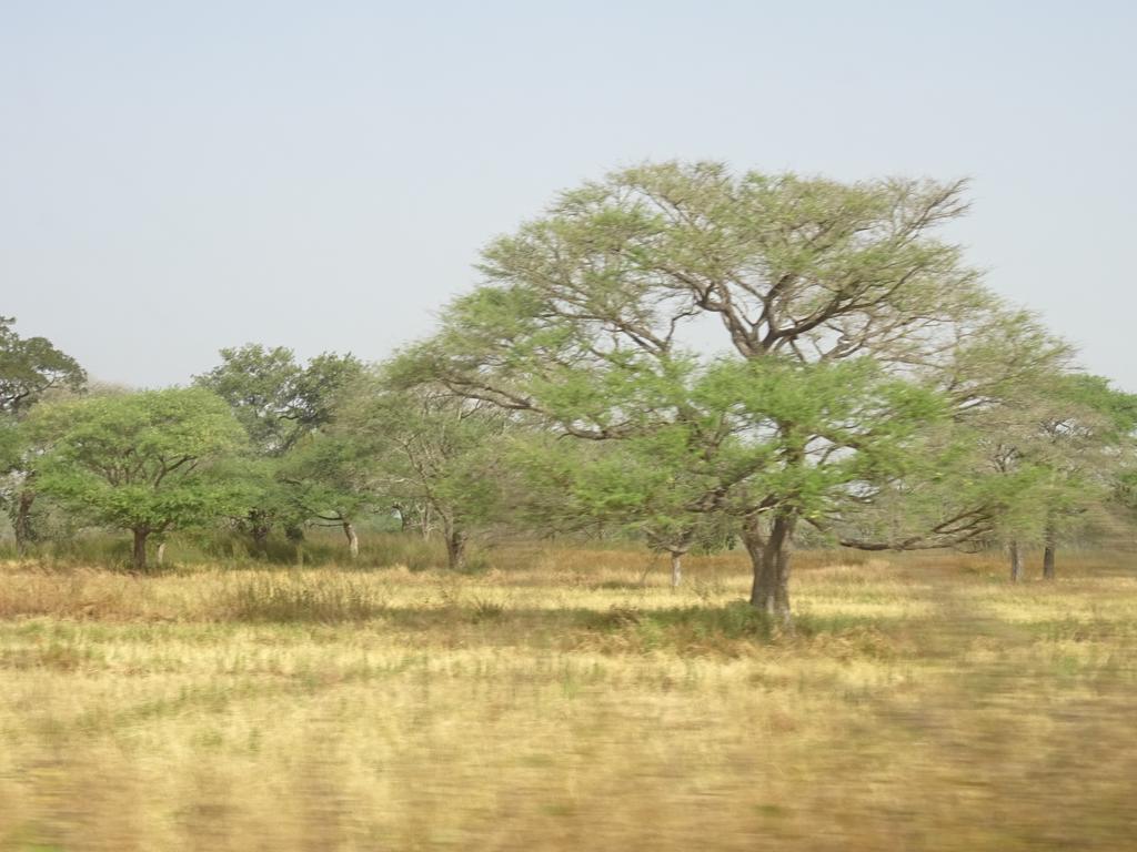 Kansala Ta Toto Kafountine ภายนอก รูปภาพ