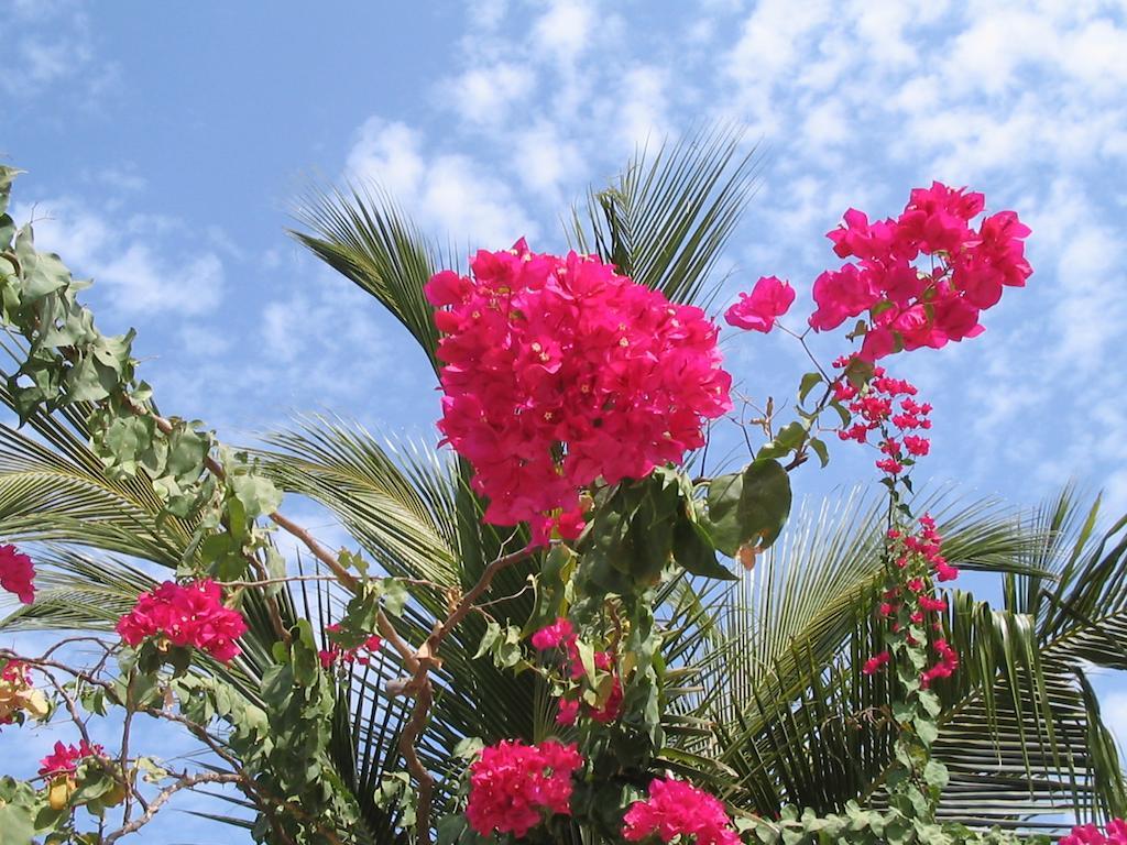 Kansala Ta Toto Kafountine ภายนอก รูปภาพ