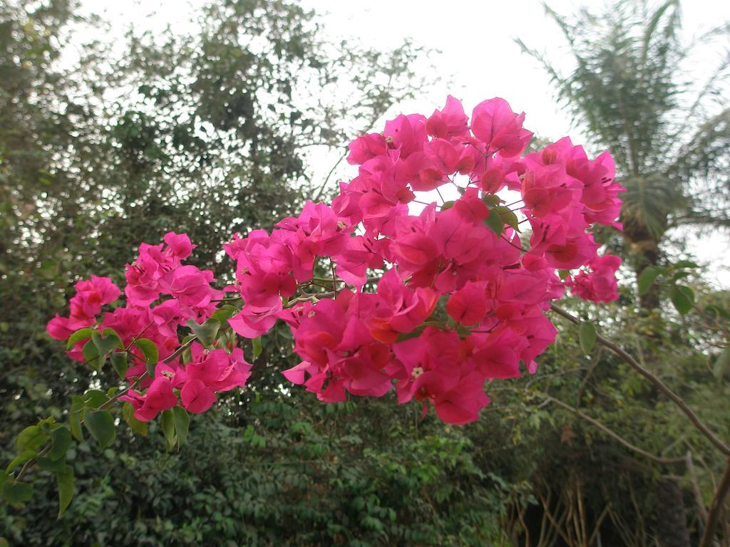 Kansala Ta Toto Kafountine ภายนอก รูปภาพ