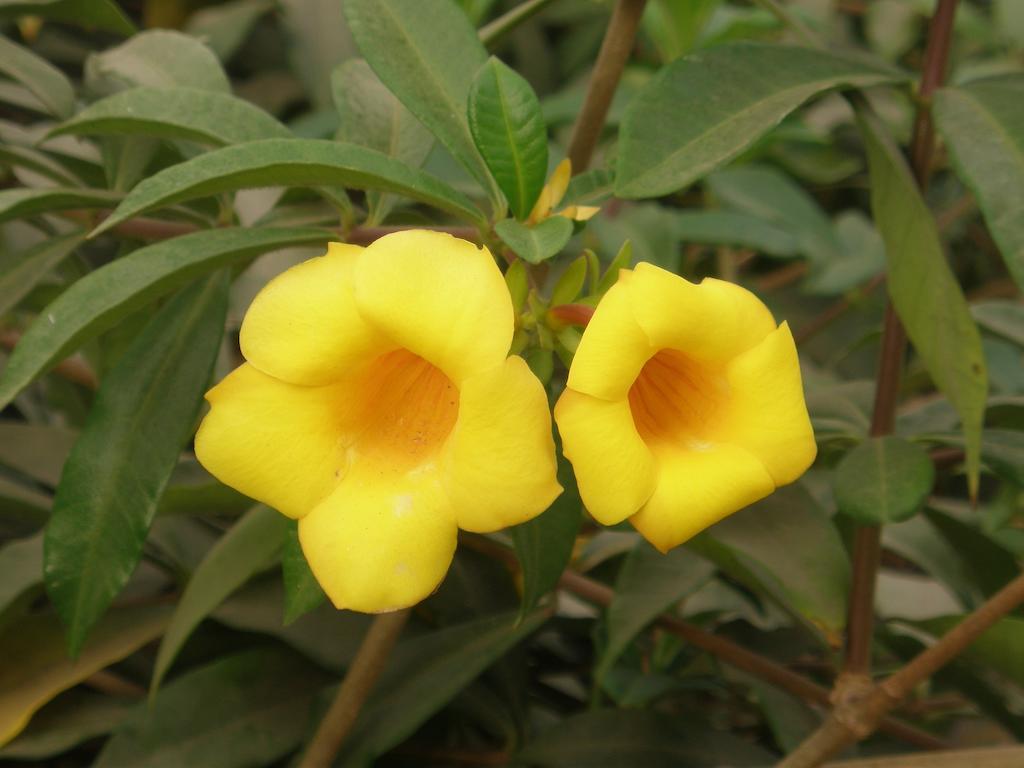 Kansala Ta Toto Kafountine ภายนอก รูปภาพ