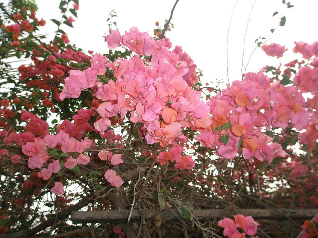 Kansala Ta Toto Kafountine ภายนอก รูปภาพ