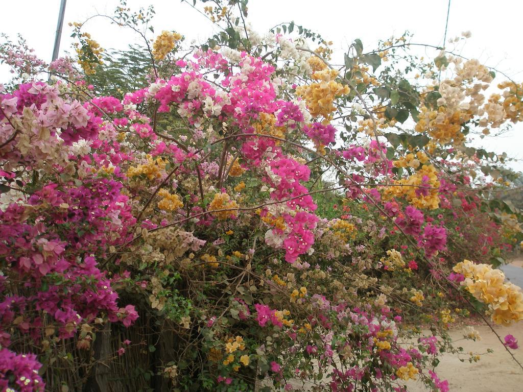 Kansala Ta Toto Kafountine ภายนอก รูปภาพ